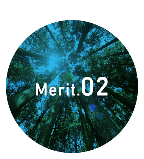 merit02