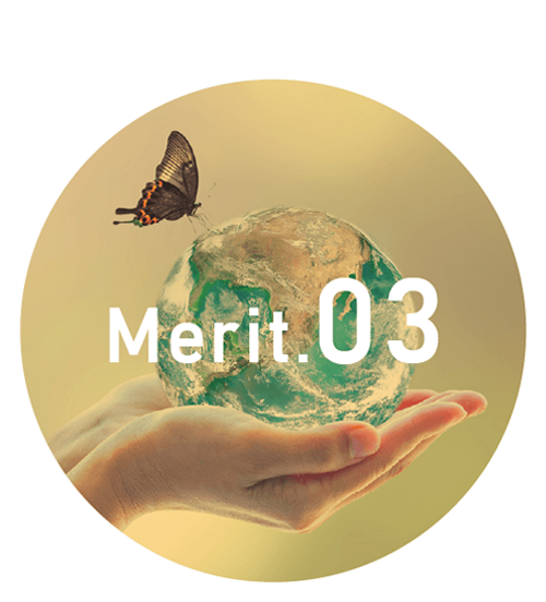 merit03