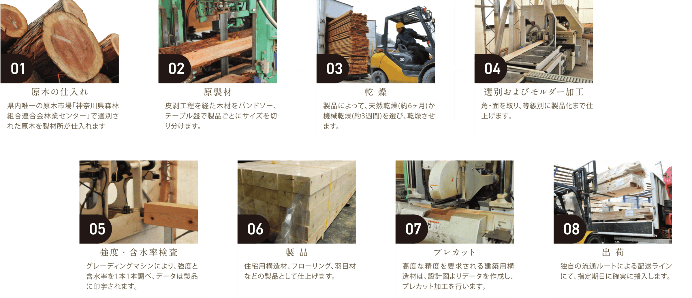木材生産の流れをご紹介