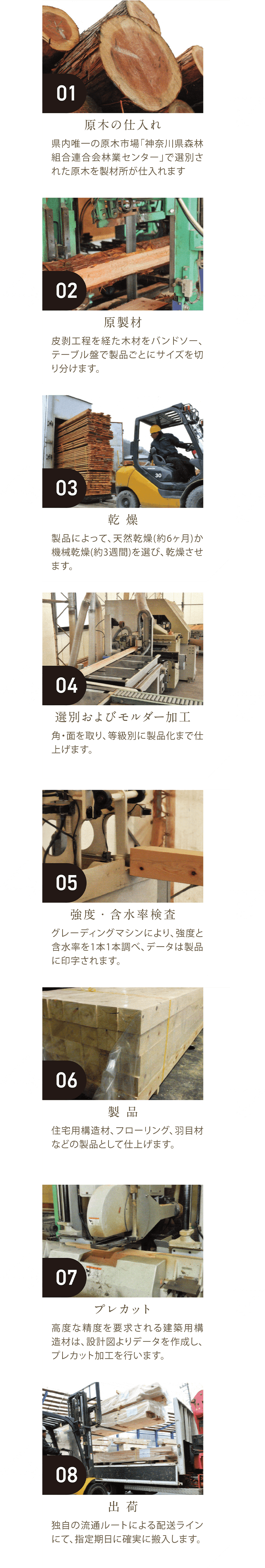 木材生産の流れをご紹介