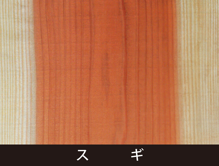 スギ