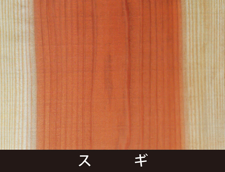 スギ