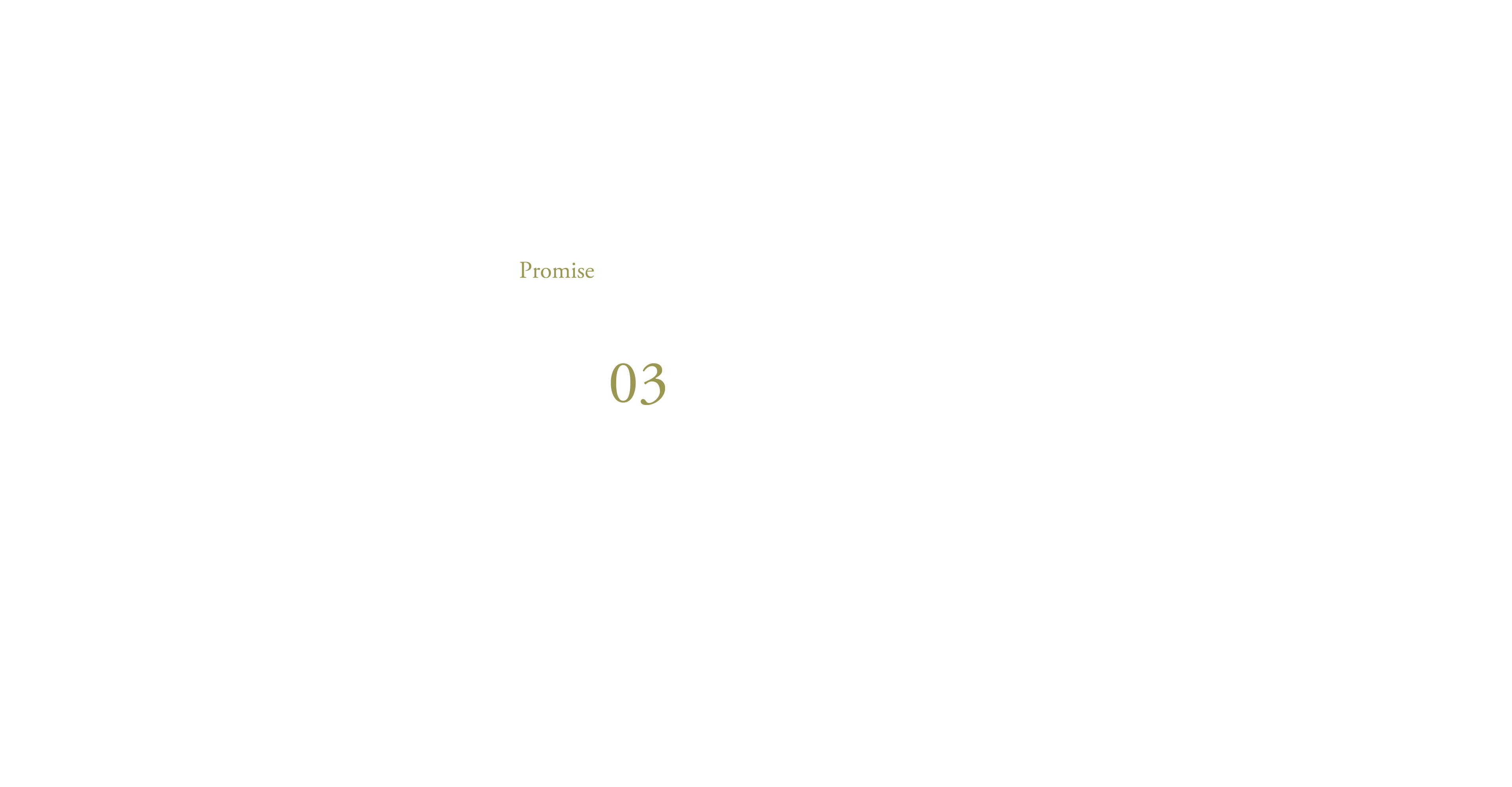 耐震×制震のW構造