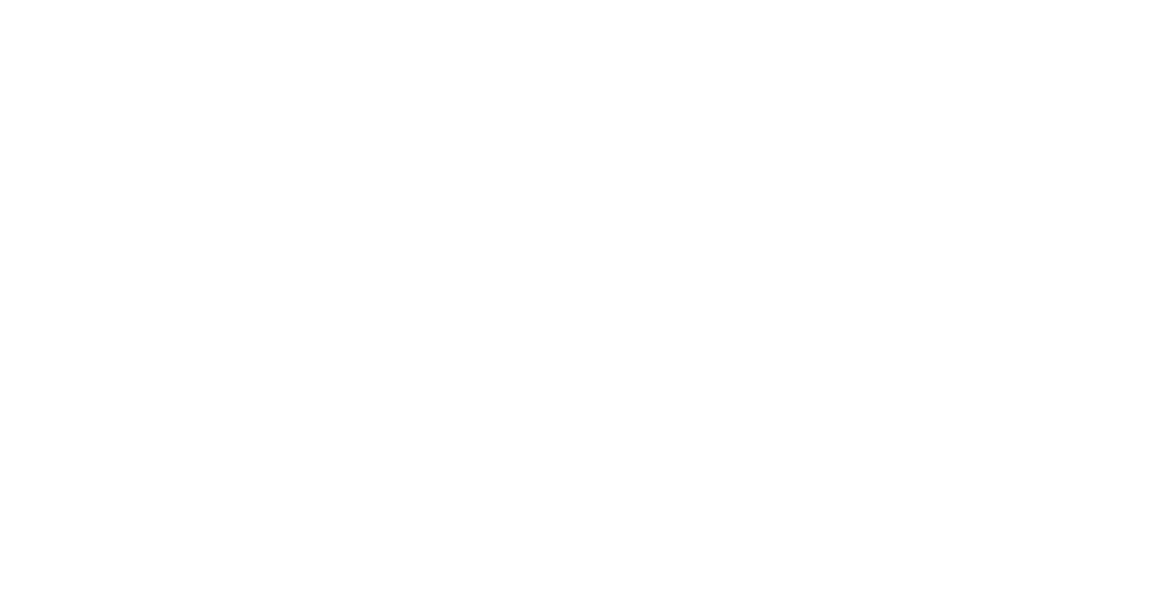 耐震×制震のW構造